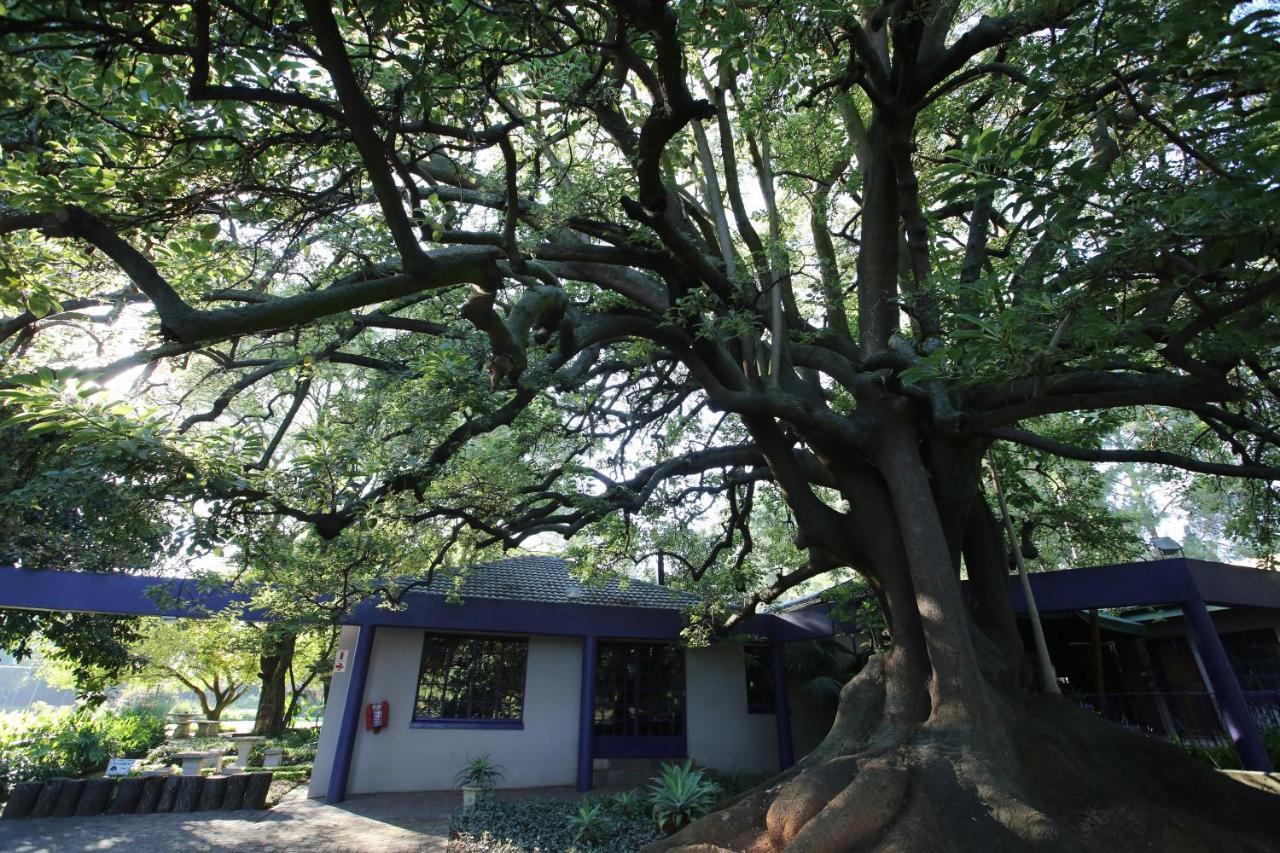 Hotel Big Tree Midrand Zewnętrze zdjęcie