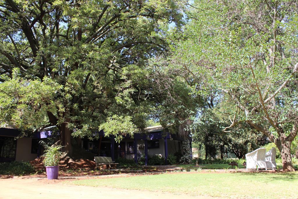 Hotel Big Tree Midrand Zewnętrze zdjęcie